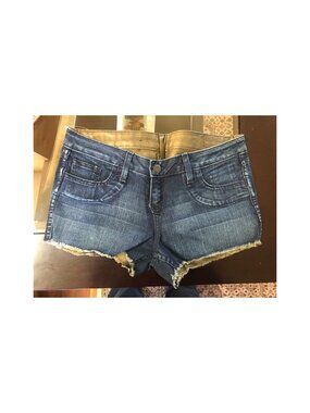 BLEULAB Curve Reversible Short Azurite Blue Bronze NWT 25 26 27